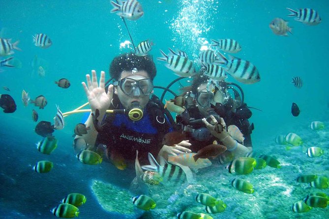 Nusa Dua Dive