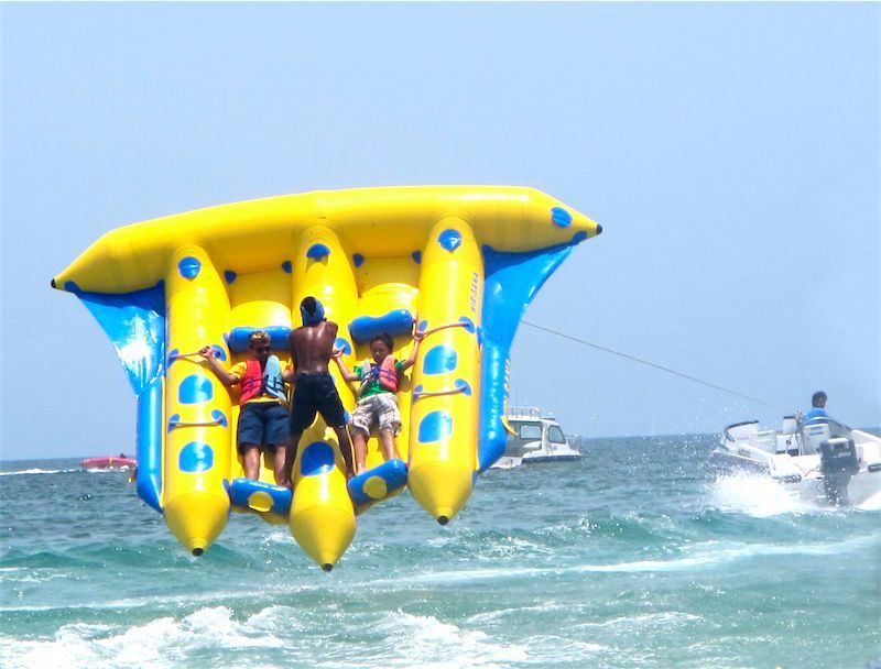 Flying Fish