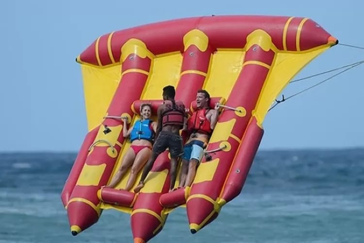 Flying Fish