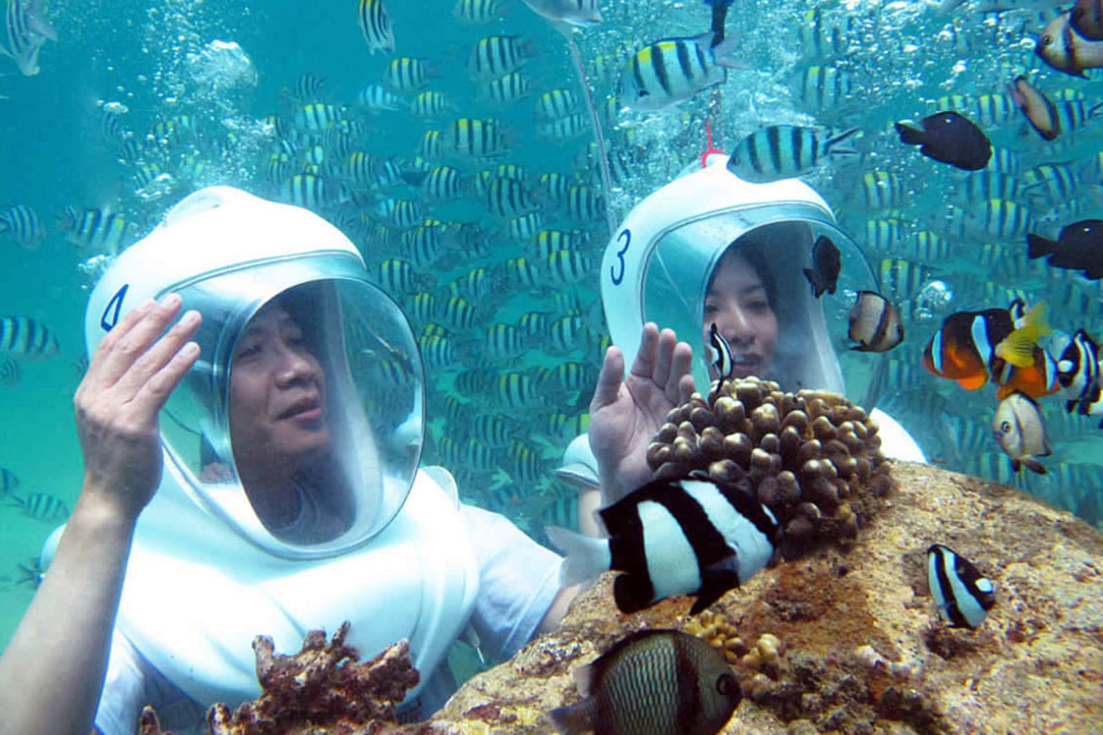 Sea Walker Water Sports