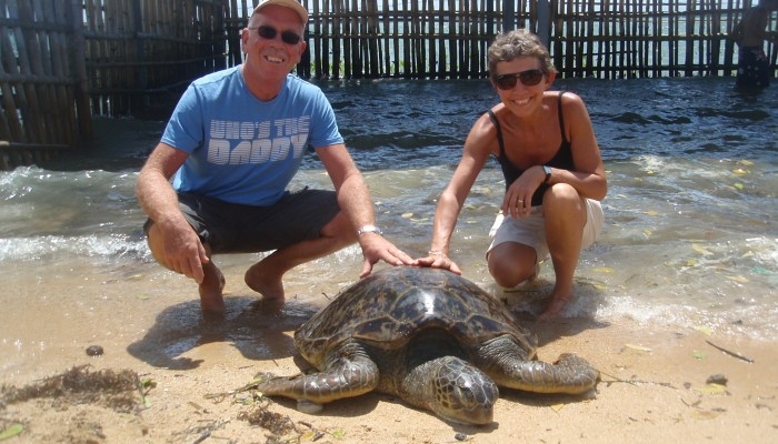 Glass Bottom Boat & Turtle Island