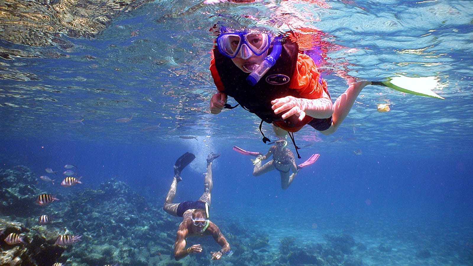 Snorkeling Water Sports