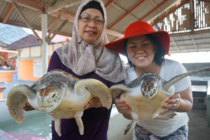 Glass Bottom Boat & Turtle Island