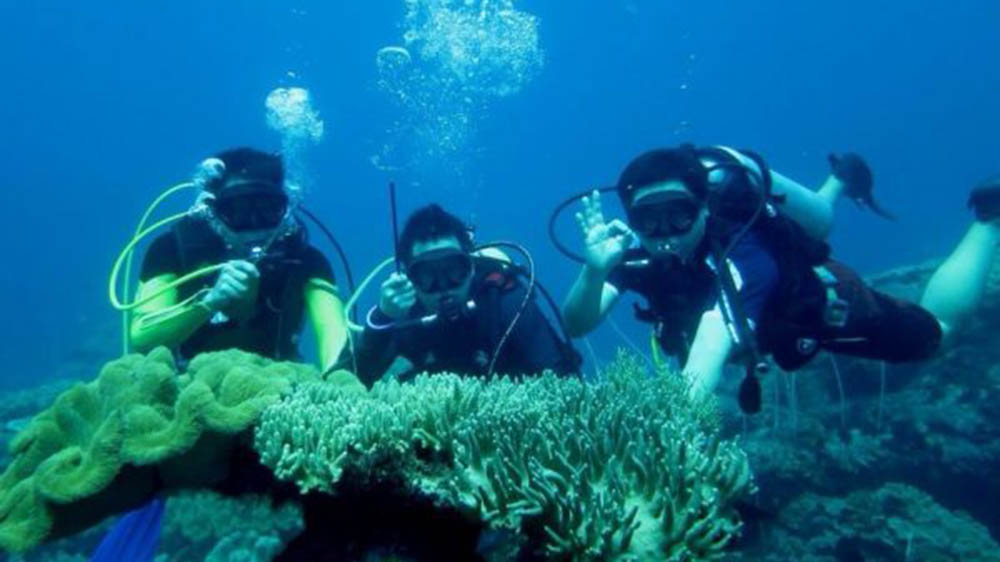 Nusa Dua Dive