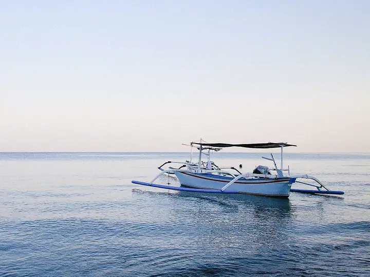 Dolphin Watching at Lovina